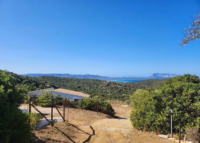 Agrustos Paradise
